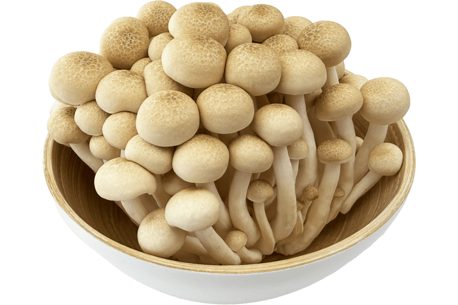 ハラキン『ぶなしめじ』