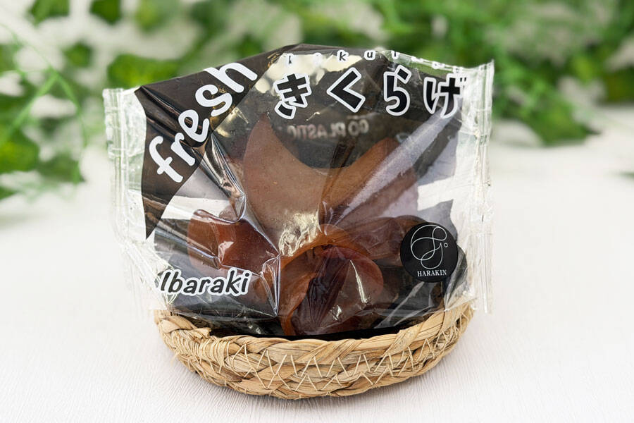 ハラキン『フレッシュきくらげ』