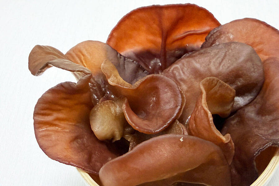 ハラキン『フレッシュきくらげ』